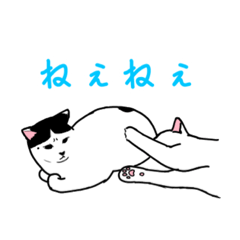 [LINEスタンプ] シロちゃんとウタちゃん