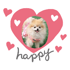 [LINEスタンプ] ポメラニアンのとろふわ