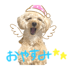 [LINEスタンプ] 渡邉家のろくたん✿*:♡