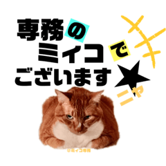 [LINEスタンプ] スピ猫ミィコ