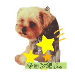 [LINEスタンプ] キョンだよ。