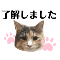 [LINEスタンプ] ♡もにゃスタンプvol.3♡