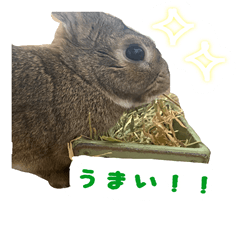 [LINEスタンプ] みけさんスタンプ2！