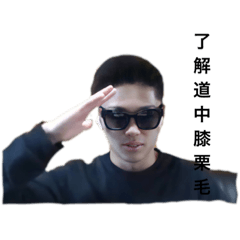 [LINEスタンプ] ヤコンズ