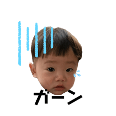 [LINEスタンプ] ku-to たまに陸海