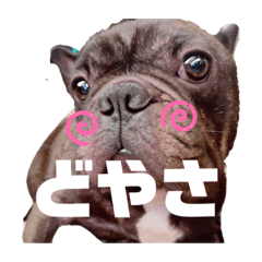 [LINEスタンプ] ぽんすたんぷん