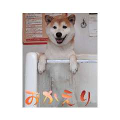 [LINEスタンプ] ケンじろう