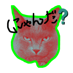 [LINEスタンプ] デブ猫小鉄先生のツンデレな日々