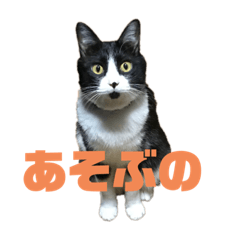 [LINEスタンプ] 美人すぎる寧々とギャグ枠のきのこ