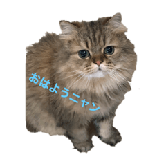 [LINEスタンプ] チョコとメリル2