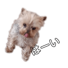[LINEスタンプ] うめちジュジュモエだんだん