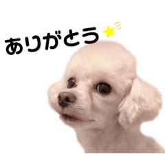 [LINEスタンプ] たらちんスタンプ♩第一弾