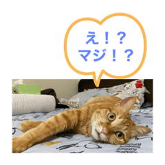 [LINEスタンプ] にゃべつのチャラスタンプ