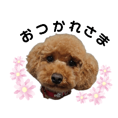 [LINEスタンプ] ととさんわんこ。