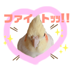[LINEスタンプ] おかめのひまちゃん
