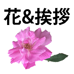 [LINEスタンプ] 花と挨拶