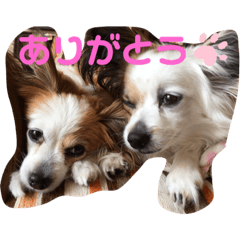 [LINEスタンプ] ローズマリーオレオライム