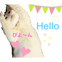 [LINEスタンプ] スノーの日常3