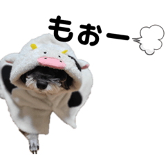 [LINEスタンプ] シュナうじゃー