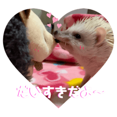 [LINEスタンプ] うにちゃんスタンプ0502
