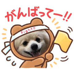[LINEスタンプ] 我が家のぽん太