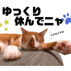 [LINEスタンプ] ちゃたスタンプ04