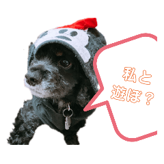 [LINEスタンプ] 高橋家の★つむじ☆