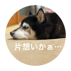 [LINEスタンプ] 内弁慶ナナ様_04