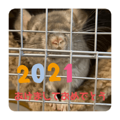 [LINEスタンプ] 2021年獅子丸とお正月