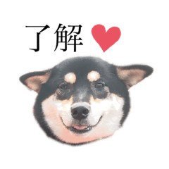 [LINEスタンプ] an♡komachi 2