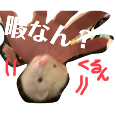 [LINEスタンプ] エルマー(エルちゃん)の小言