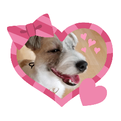 [LINEスタンプ] ジャックラッセルテリアのレモンちゃん2