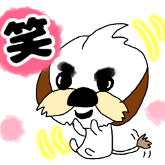 [LINEスタンプ] もくちゃんだって、シーズーだもの。