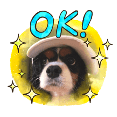 [LINEスタンプ] キャンディスタンプ！！