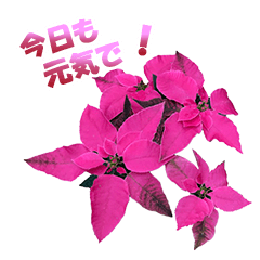 [LINEスタンプ] お花と一緒にメッセージ