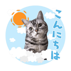 [LINEスタンプ] PMC2020