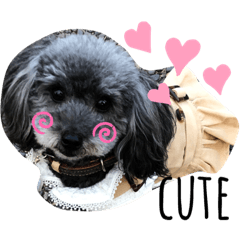 [LINEスタンプ] ワンコの日常♡