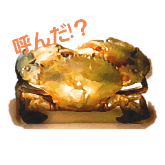 [LINEスタンプ] のこぎりくん