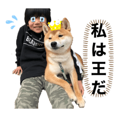 [LINEスタンプ] まめすけスタンプ♡