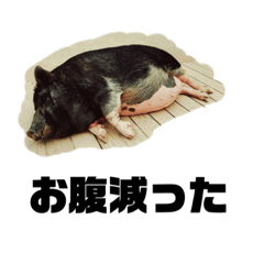 [LINEスタンプ] 気ままな動物ライフ
