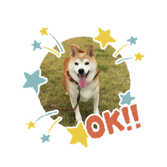 [LINEスタンプ] さくら＆りり