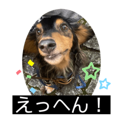 [LINEスタンプ] ヾ(＠⌒ー⌒＠)ノ