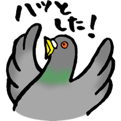 [LINEスタンプ] 土鳩さんスタンプ