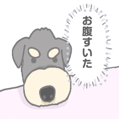 [LINEスタンプ] シュナウザーとみーのメッセージスタンプ