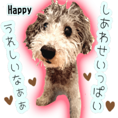 [LINEスタンプ] わたしとわんこの気持ち。