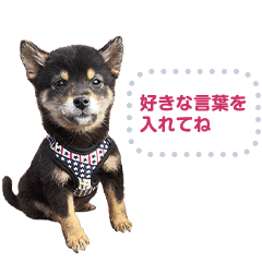 [LINEスタンプ] やさしい柴犬メッセージスタンプ