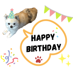 [LINEスタンプ] nagisa's dog