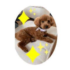 [LINEスタンプ] チョコペー