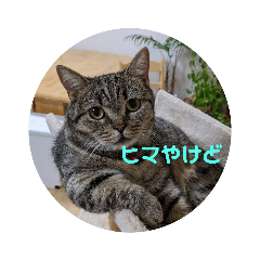 [LINEスタンプ] ネギトロくん