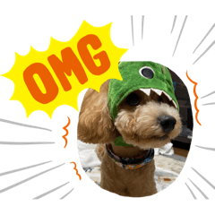 [LINEスタンプ] そるぼーい